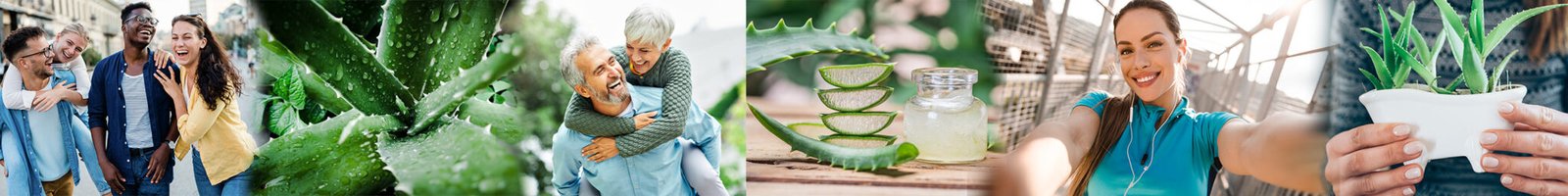 Banner bienestar Aloe Vera – familia, deporte y estilo de vida saludable